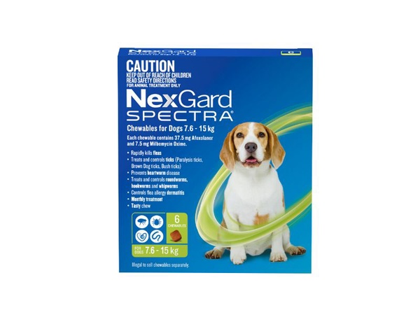 Nexgard for dogs 6 pack best sale